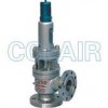 A40Y-64C，A40Y-64I，A40Y-100C，A40Y-100I，帶封閉散熱器彈簧全啟式安全閥
