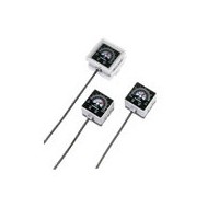 EG110,EG120,EG121,內(nèi)置電子開關(guān)式壓力計(jì)