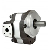 G5-5,G5-6,G5-8,G5-12-1E13S-20-R,G5-10,G5-12,G5-16,G5-30-1E13S-20R，G5-20,G5-25,G5-30,G5-25-A13S-20-R，單聯(lián)齒輪泵